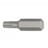 Бита Torx 40 L=30 мм (10 мм HEX) GARWIN Бита Torx 40 L=30 мм (10 мм HEX) GARWIN