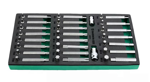 Набор бит 48 предм. Torx, Spline, Hex (10 мм) в ложементе GARWIN Набор бит 48 предм. Torx, Spline, Hex (10 мм) в ложементе GARWIN