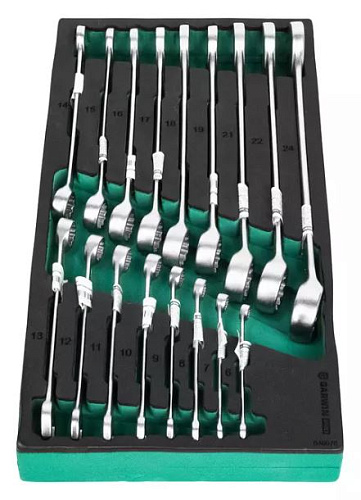 Набор ключей комбинированных 6-24 мм (17 шт) в ложементе EVA GARWIN PRO Набор ключей комбинированных 6-24 мм (17 шт) в ложементе EVA GARWIN PRO